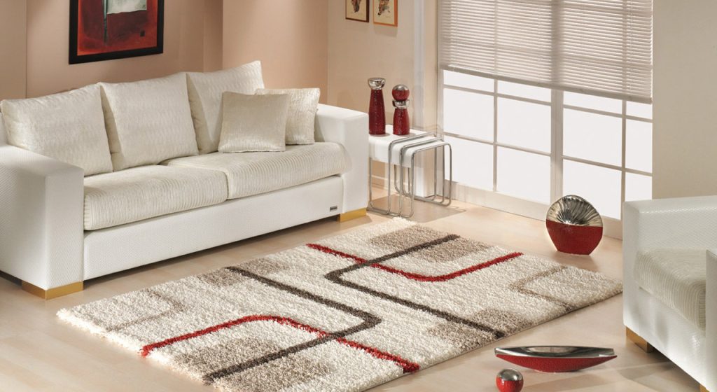 decoration with modern rug