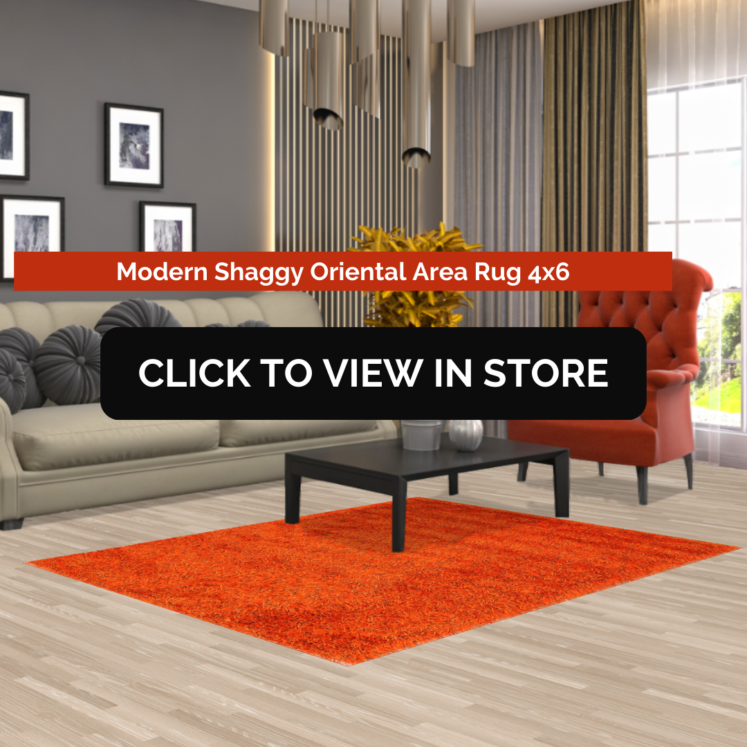 https://rugsource.com/rugs/size-name/4x6