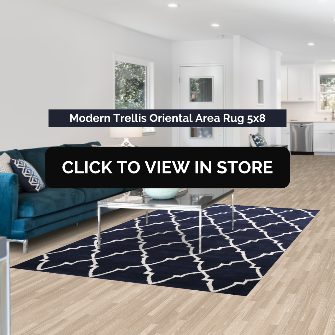 Modern trellis oriental area rug